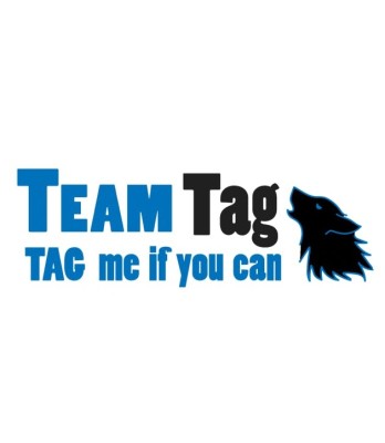 TEAM TAG - Laser Tag - Schömberg